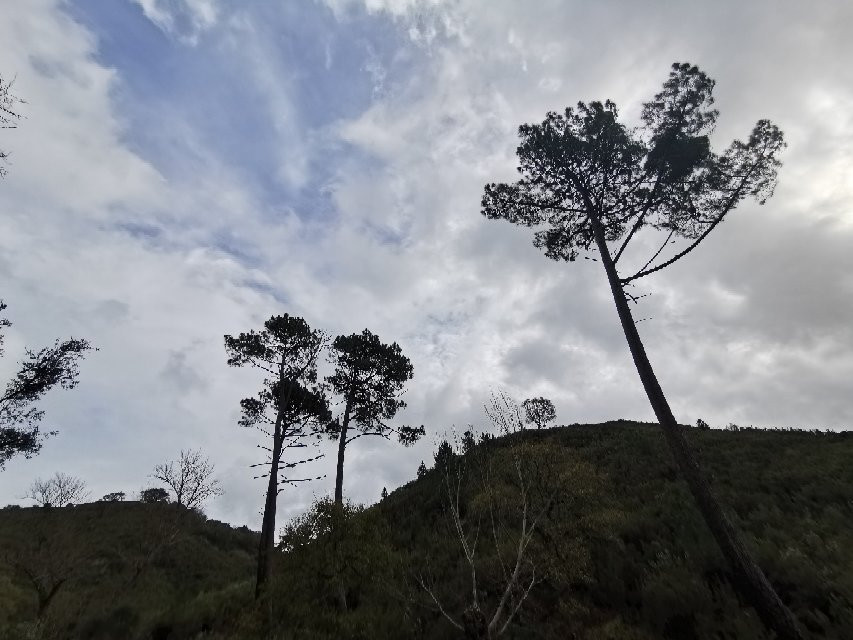 Tapada Nacional de Mafra景点图片