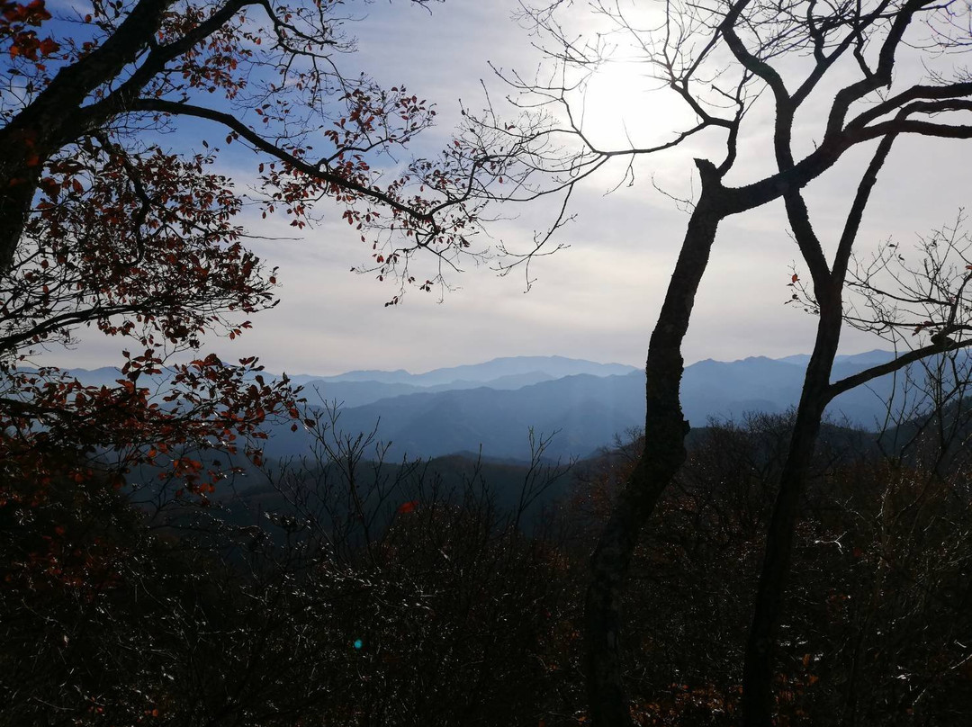 Kannon-in Temple-小鹿野町必去景点
