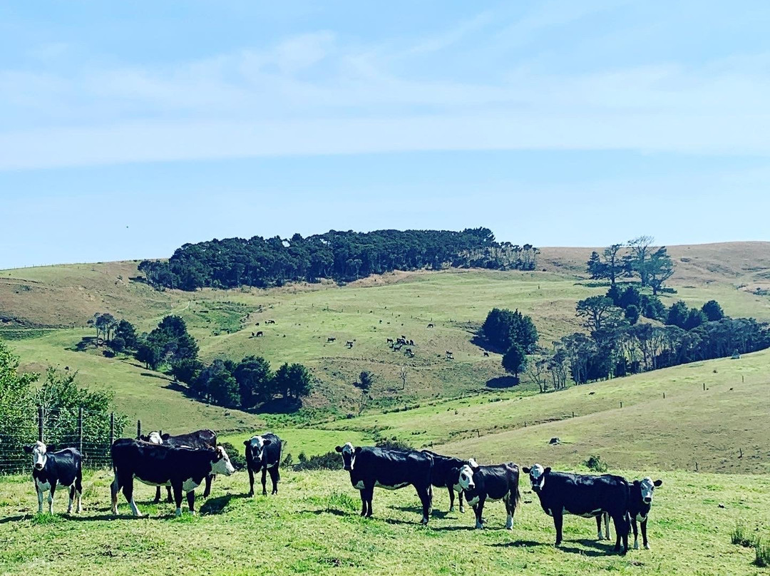 Te Arai Retreat主图