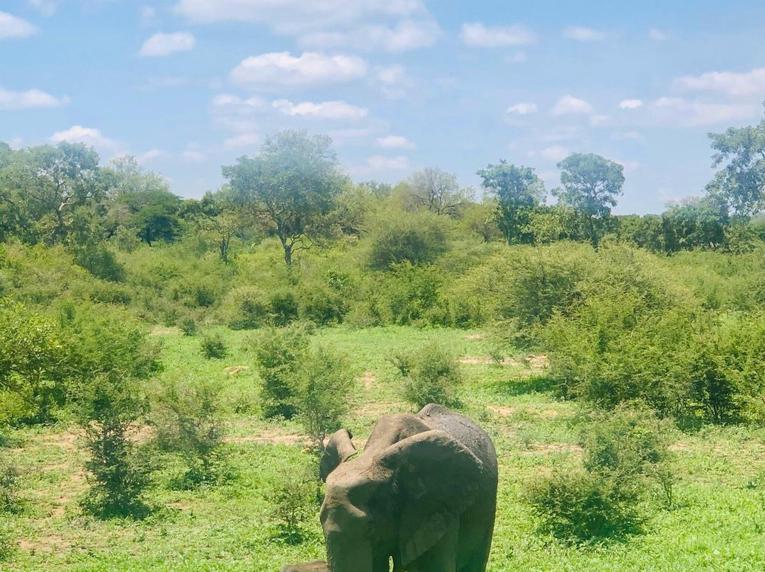 Mussiro Trips-马布多必去景点