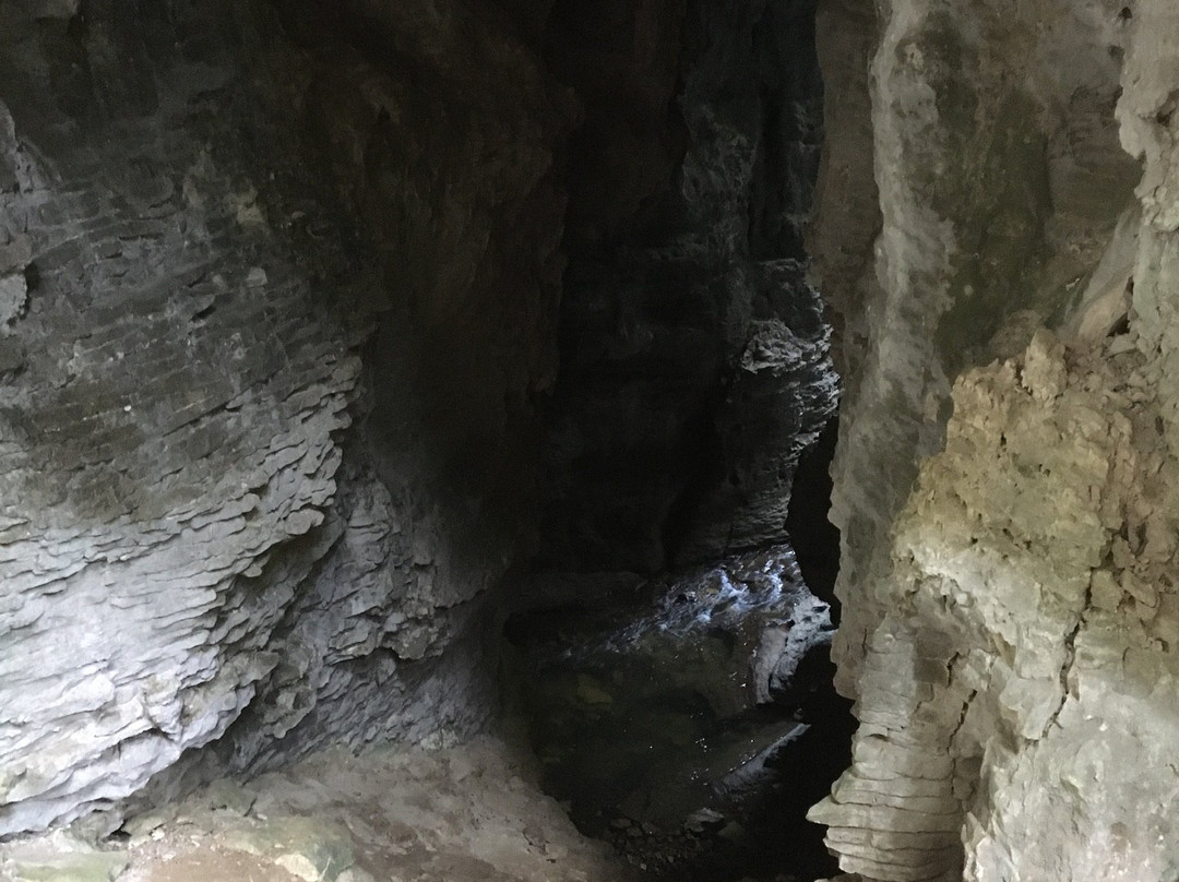 Ruakuri Walk-怀托摩洞穴必去景点