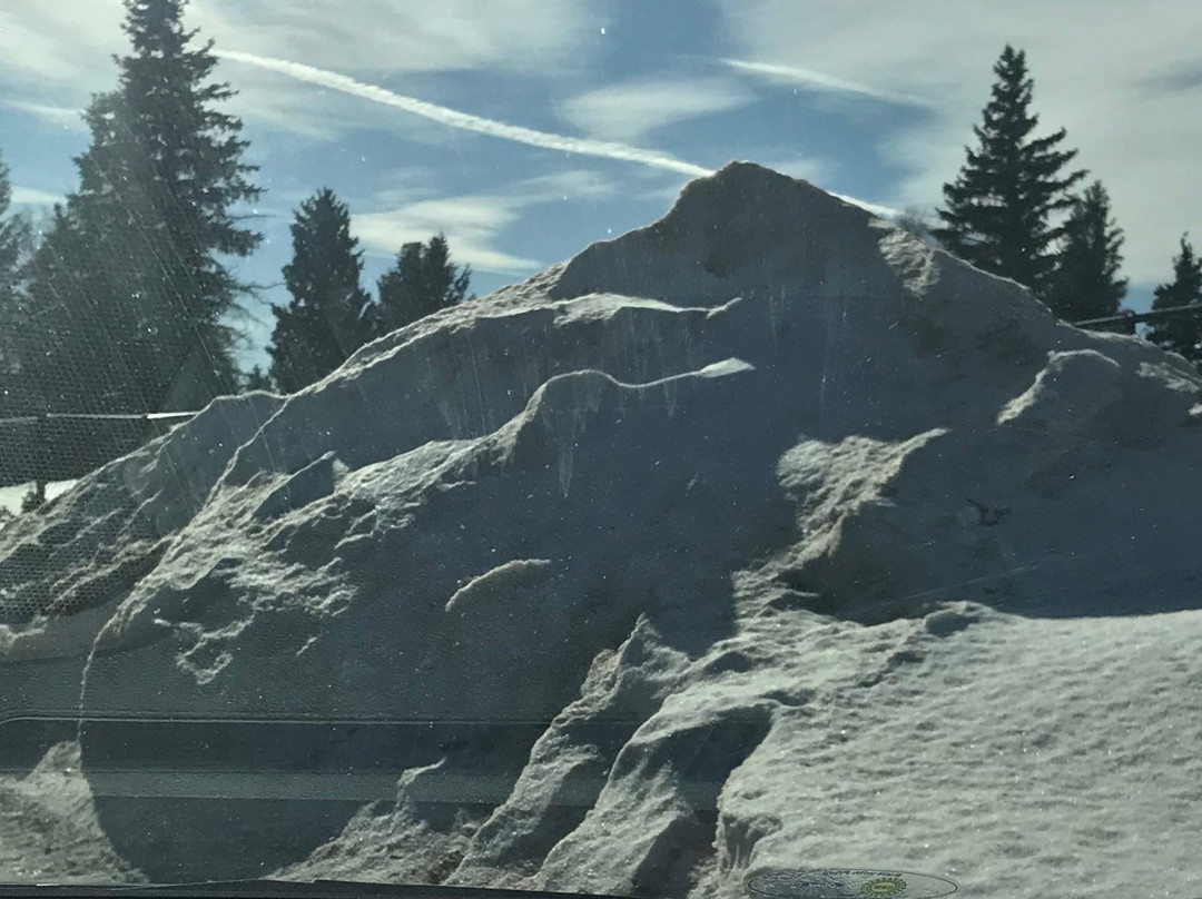 Cheyenne Artists Guild-夏延必去景点