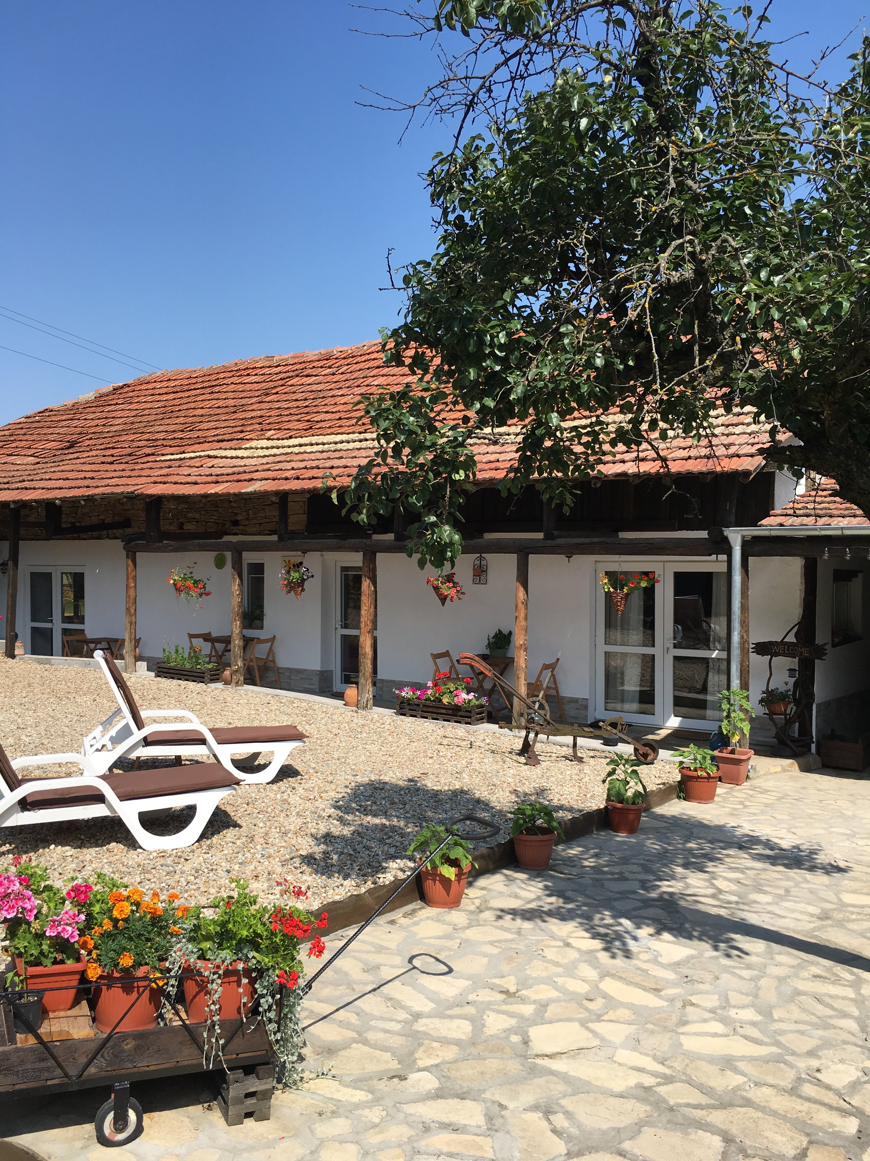 Sunflower Guest House-浴室