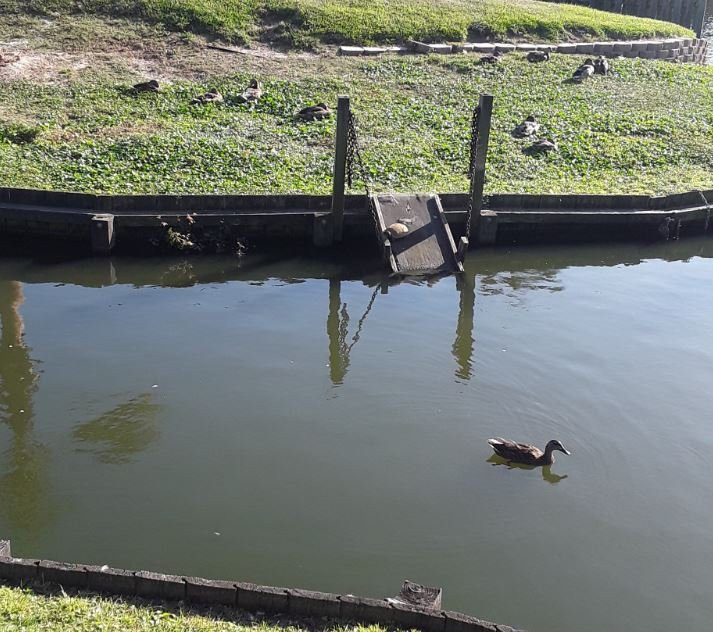 Myrtle Beach Resort主图