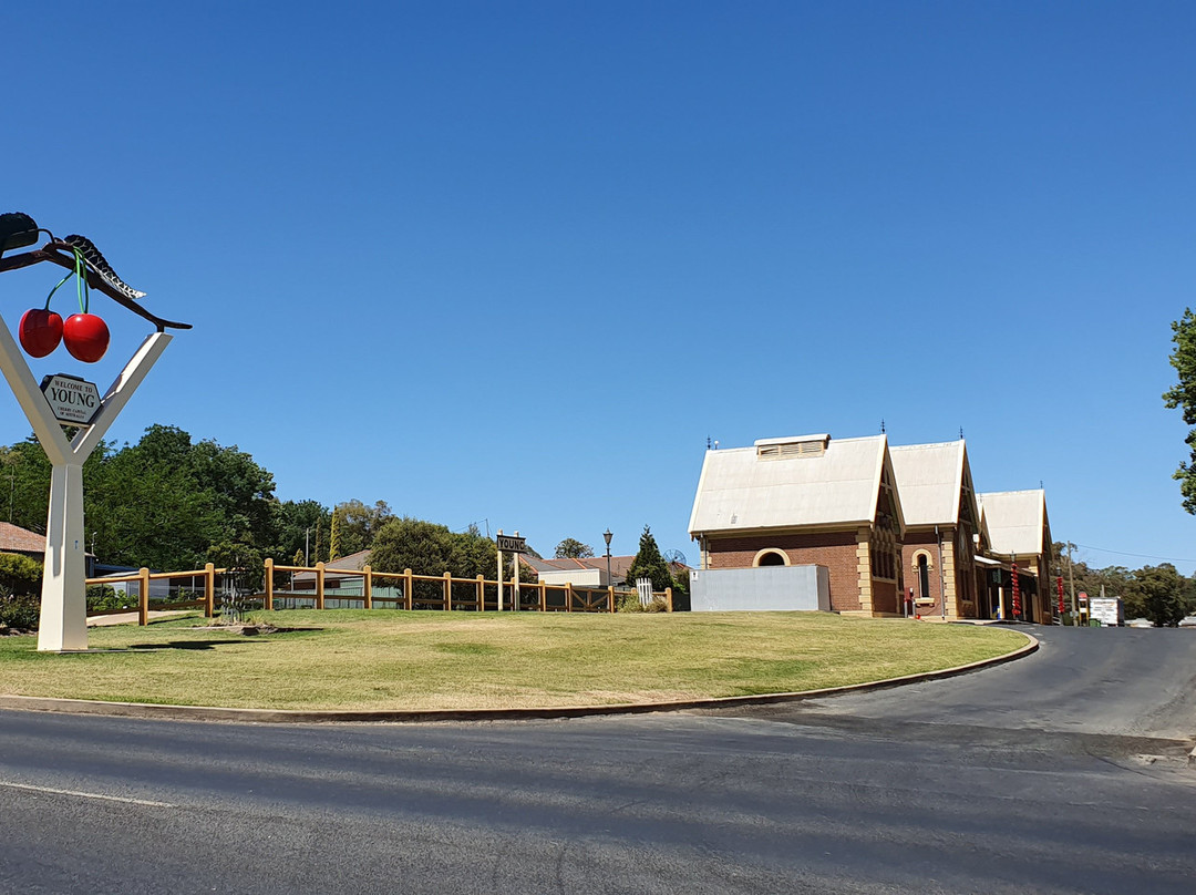 The Big Cherries-Young必去景点