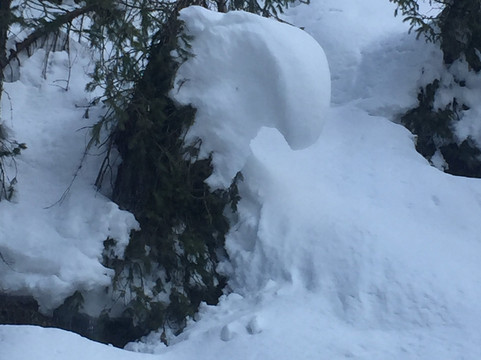 Aamod at Dalhousie主图