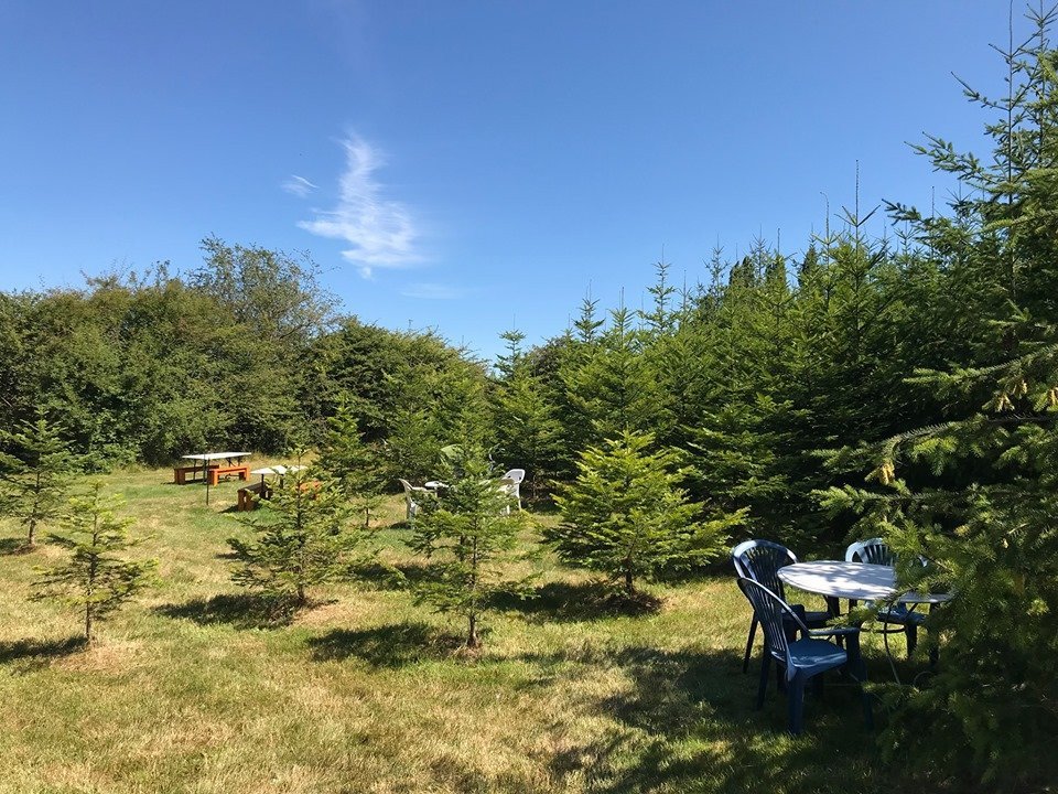 Snowdon House Gourmet & Gifts景点图片