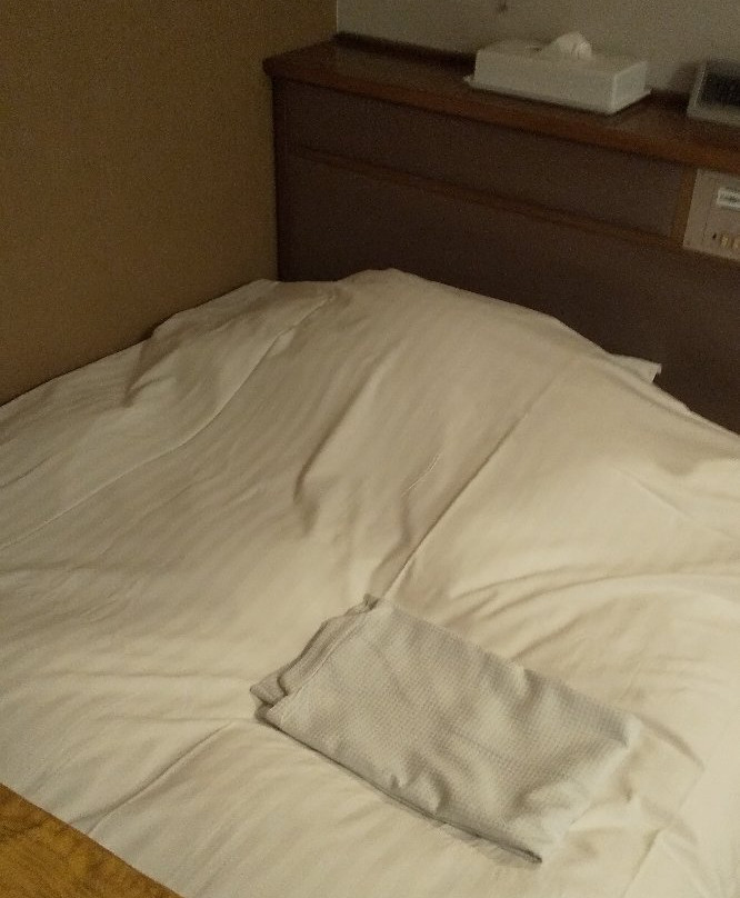 Imabari Urban Hotel主图