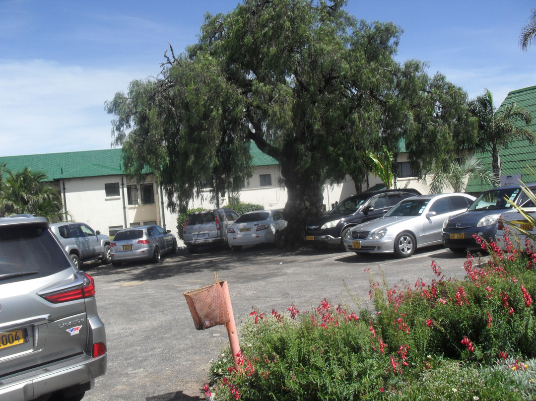 Montclair Hotel & Casino主图