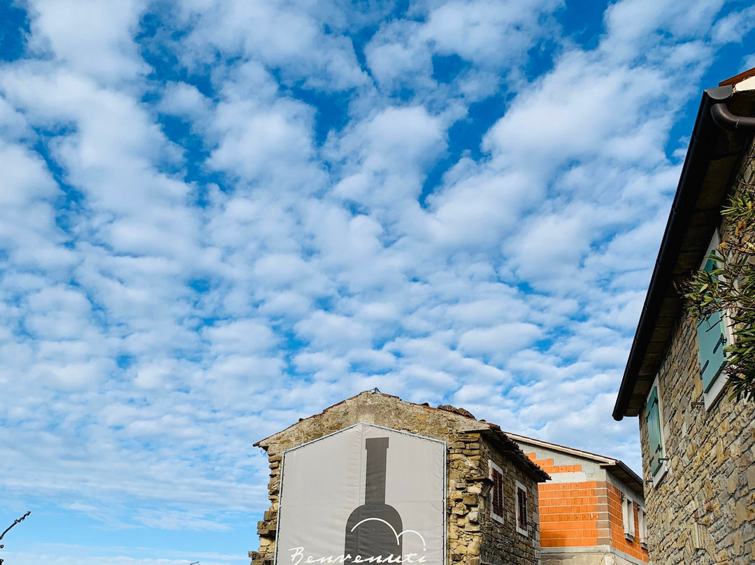 Benvenuti Winery-Motovun必去景点