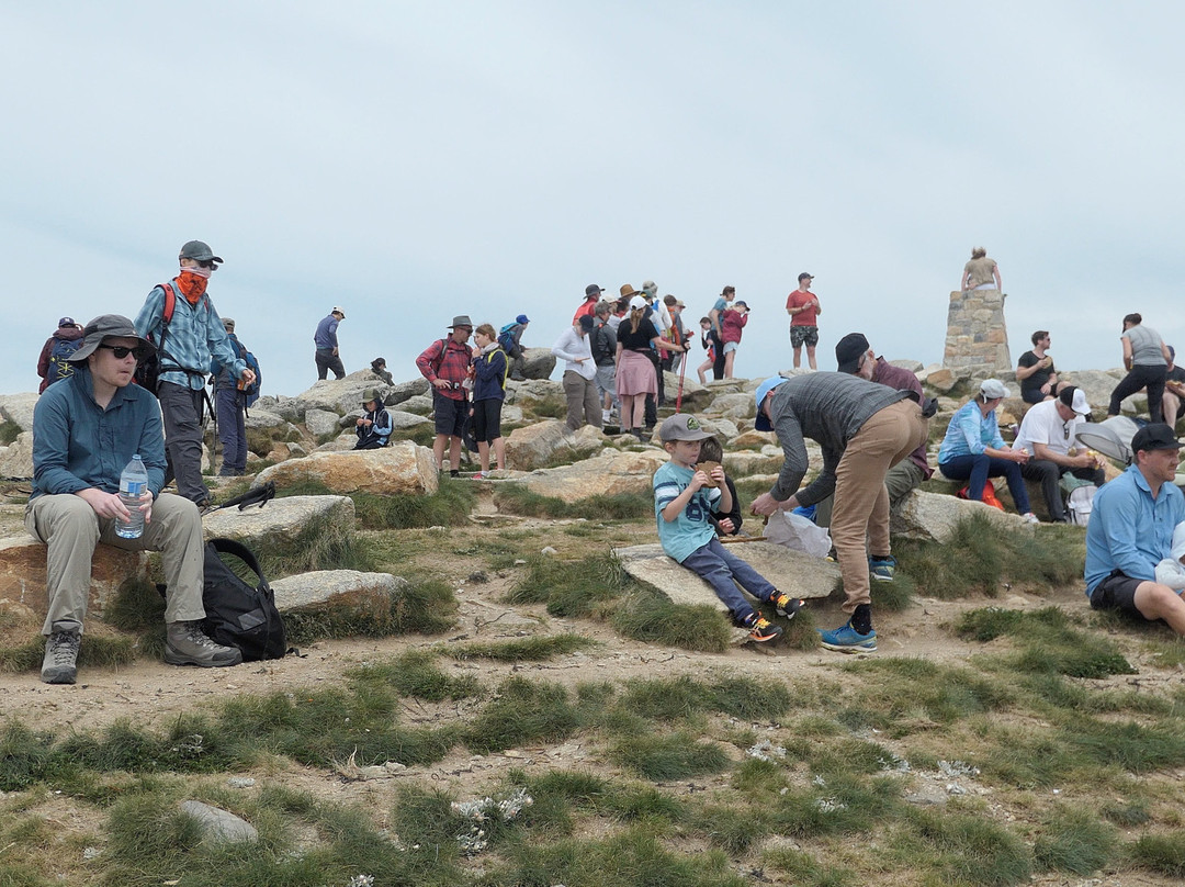 Summit Walk/Main Range Trail景点图片