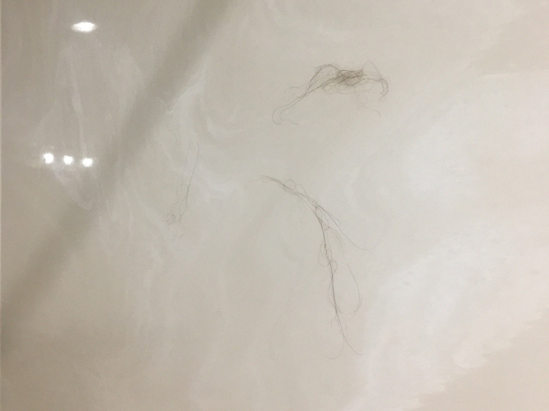 Hawthorn Suites by Wyndham Lubbock主图