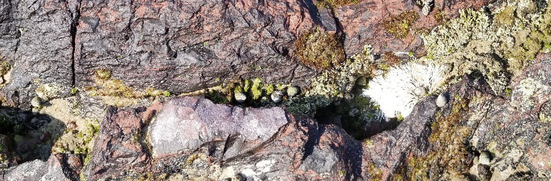 Pilot Beach-Camden Head必去景点