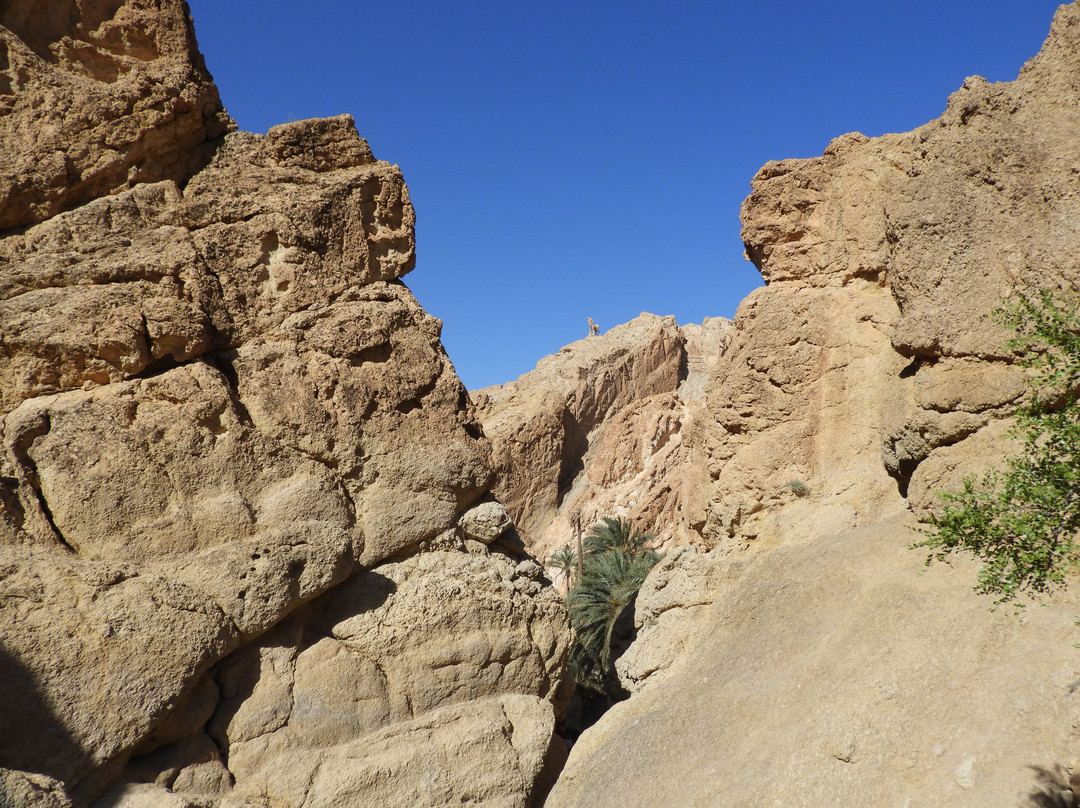 Sidi Bouhlel Canyon景点图片