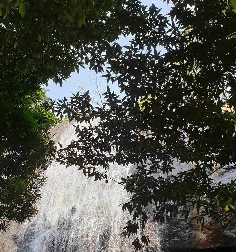 Aanachadikuth Waterfalls景点图片