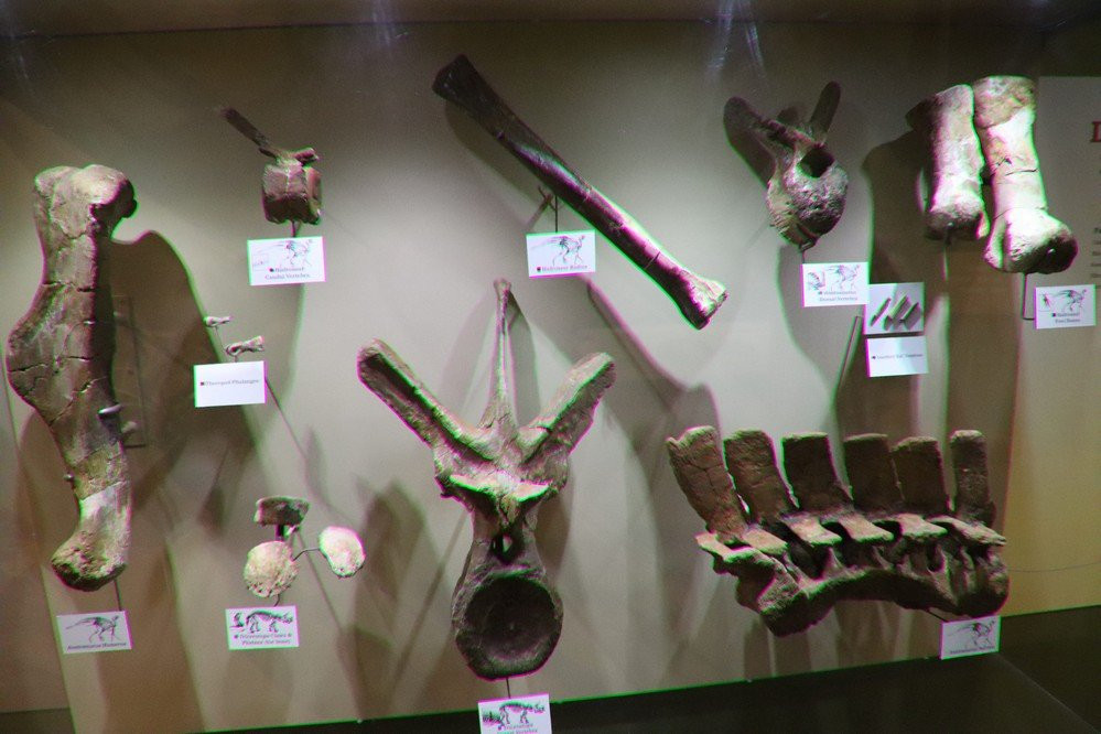 Makoshika State Park Visitor's Center-Glendive必去景点