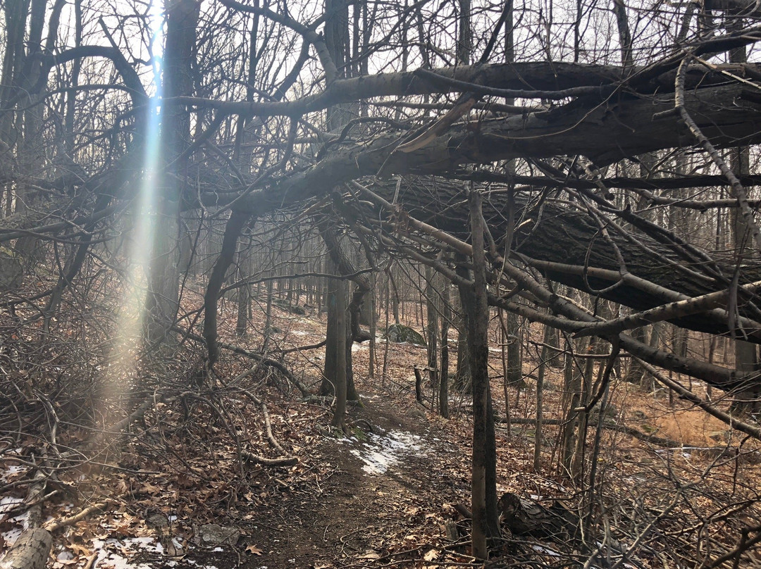 Bear Mountain Reservation-丹伯里必去景点