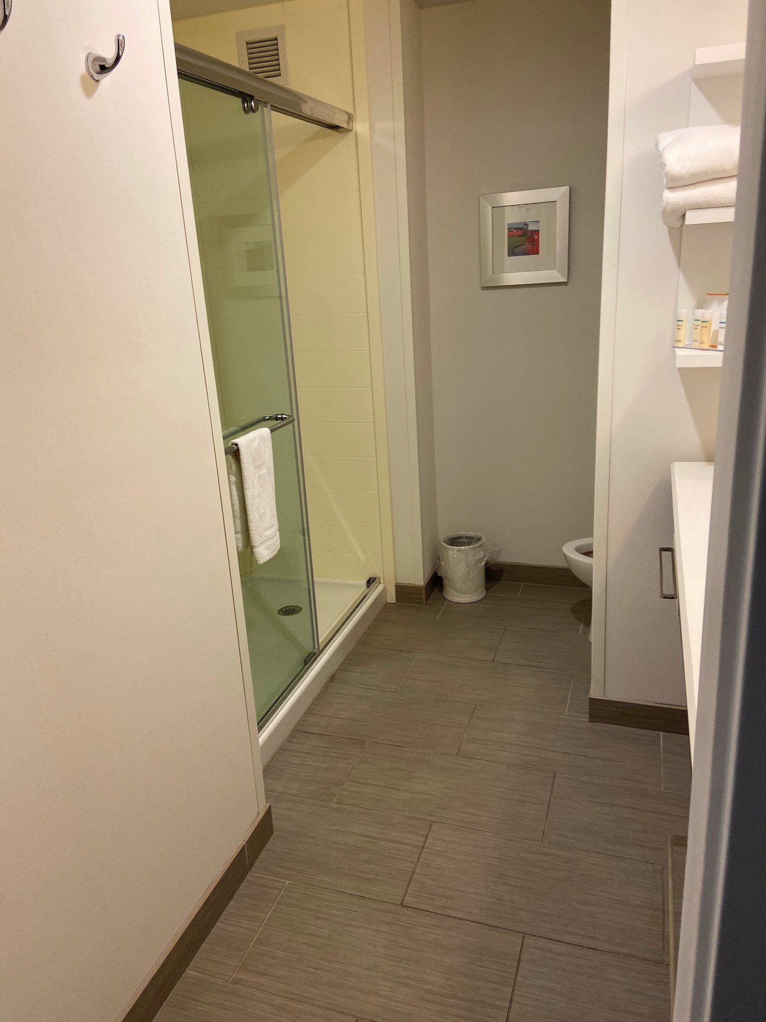 Hampton Inn Detroit/dearborn-浴室