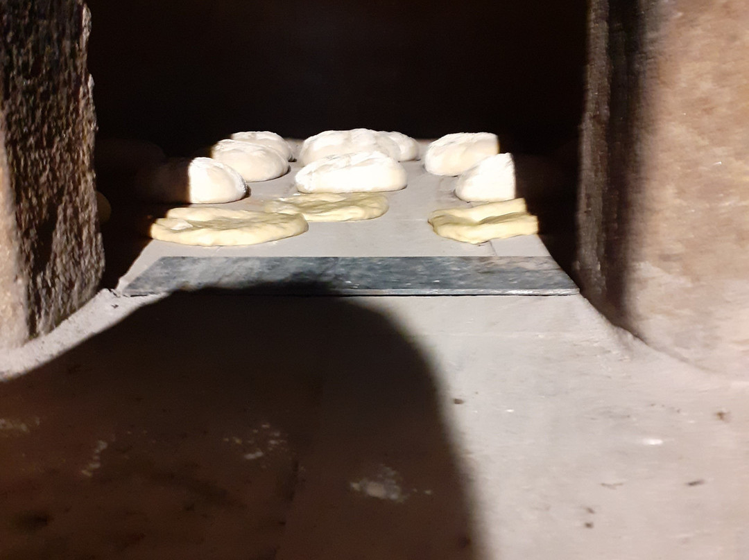 Aromas dos Salgueiros主图