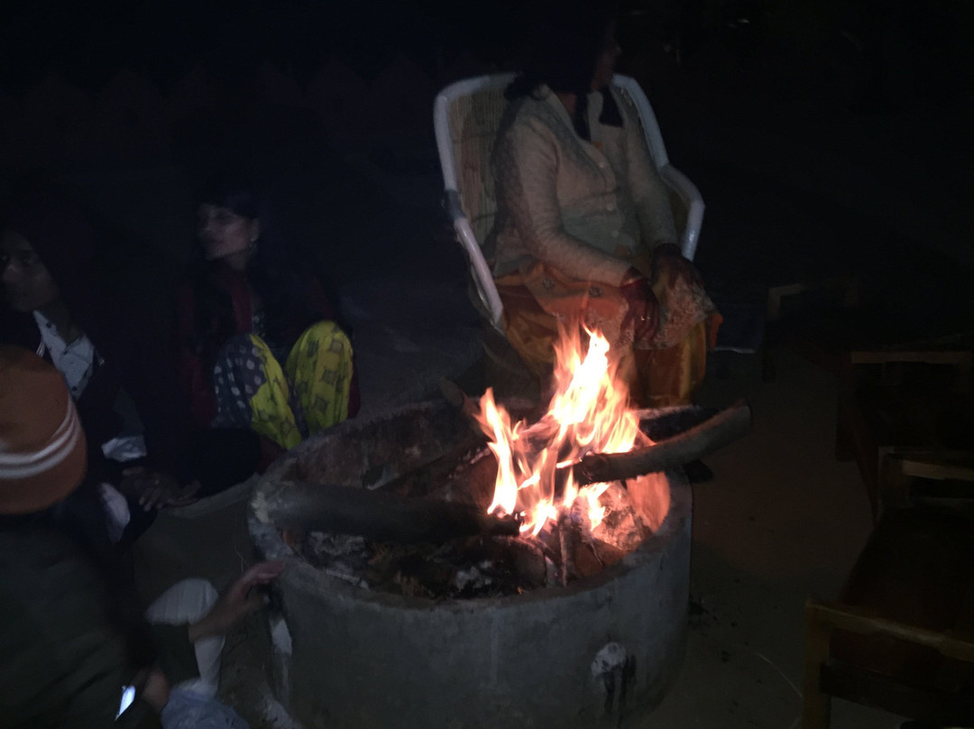 Shankar Camel Safari Pushkar-普希卡必去景点