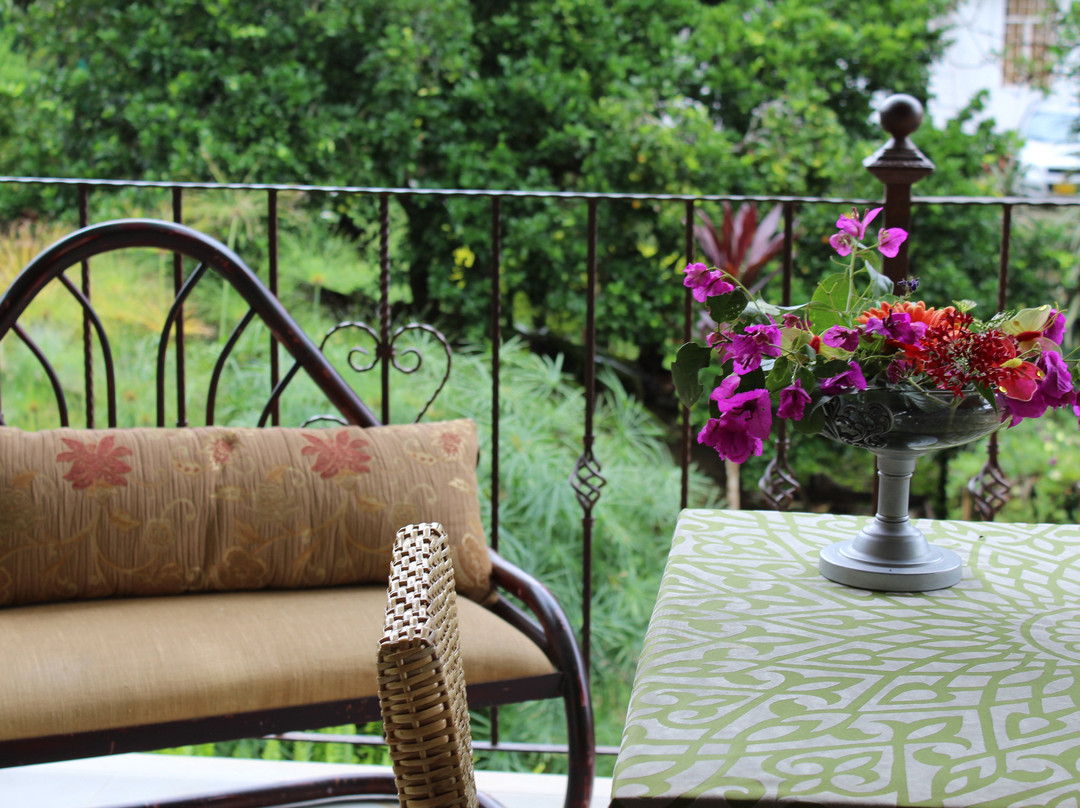 Posada Las Bromelias主图