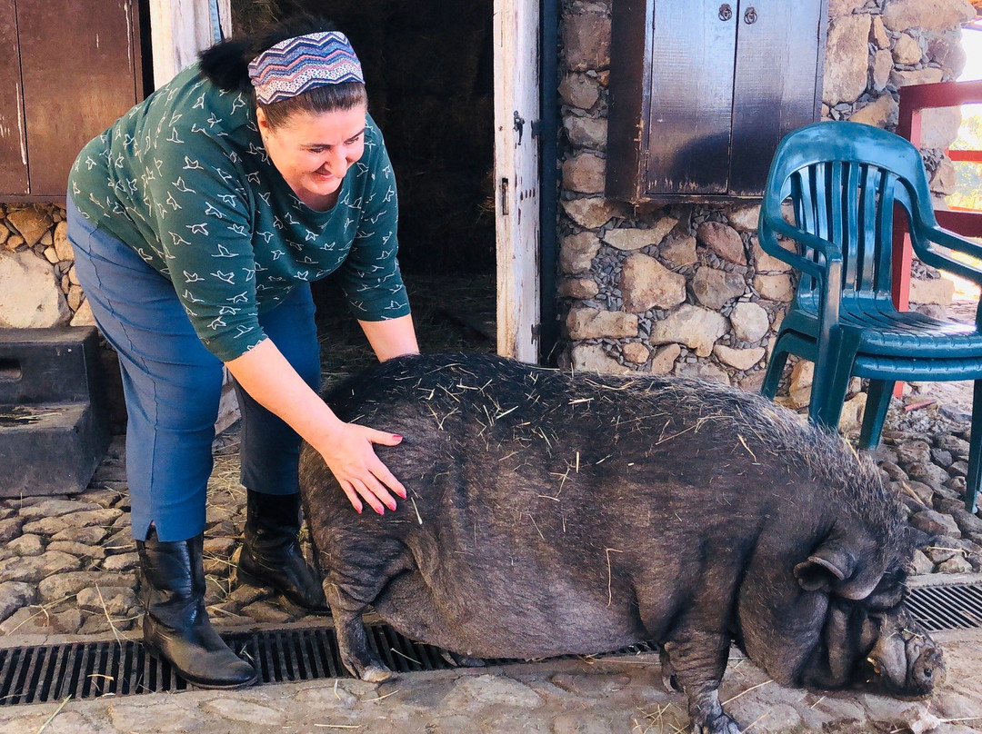 Rancho San Francisco-Chapala必去景点