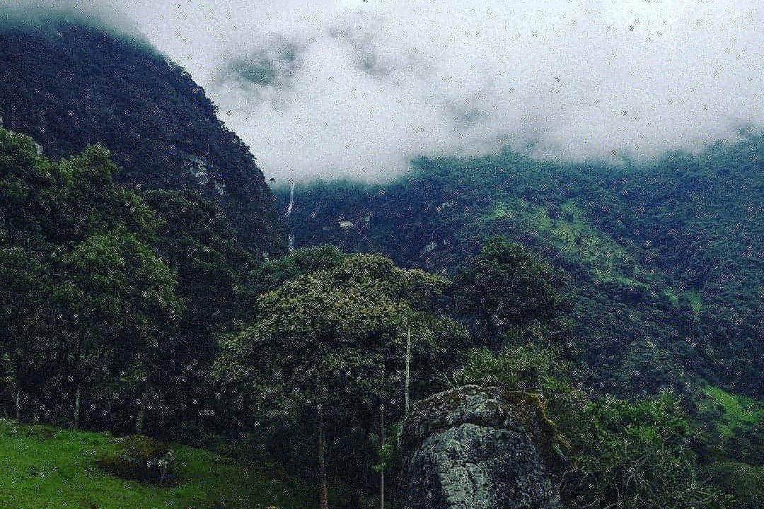 Local Tours Colombia-波哥大必去景点