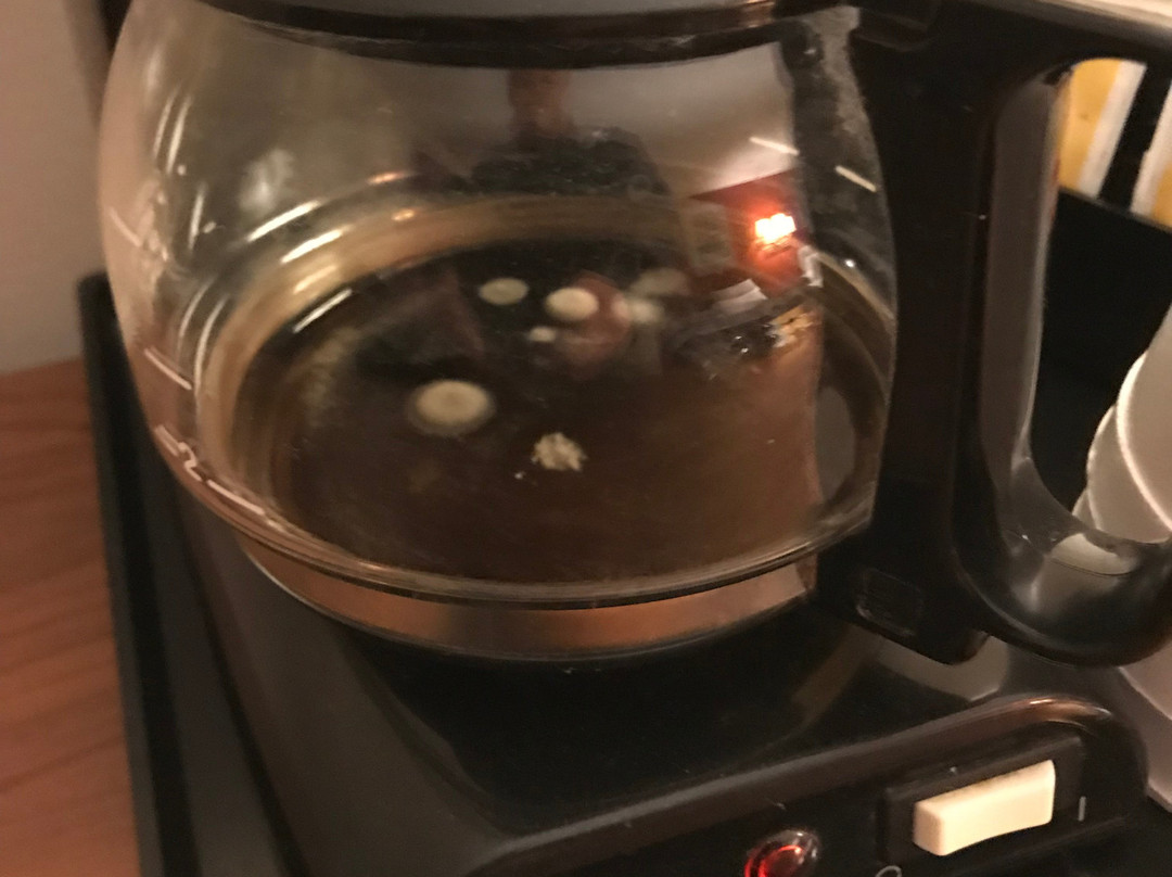 Coronado Motel and RV Park主图