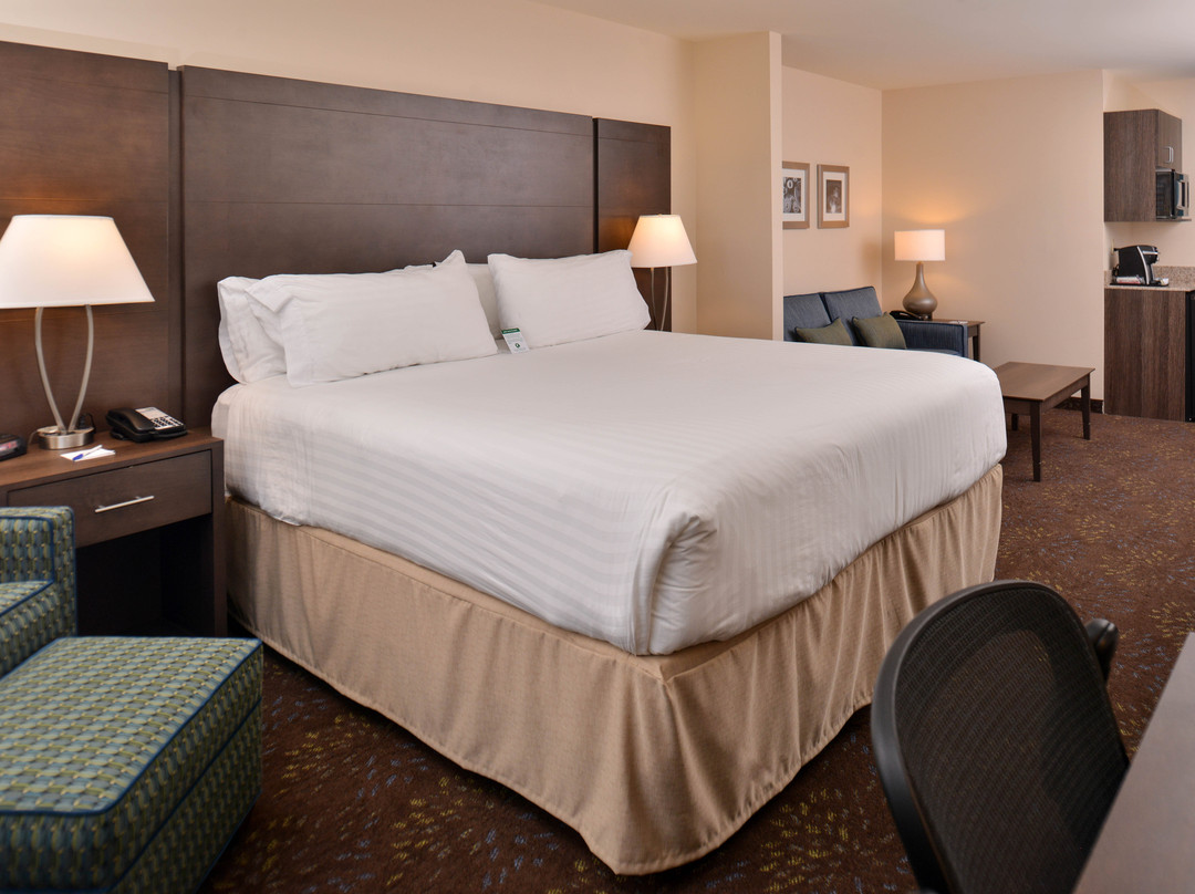 Holiday Inn Express & Suites Dearborn SW - Detroit Area by IHG主图