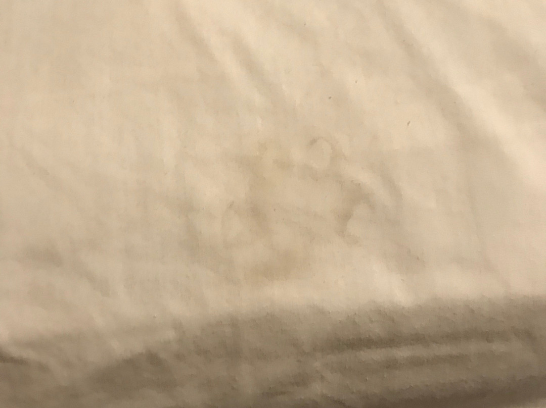 Evergreen Motel主图