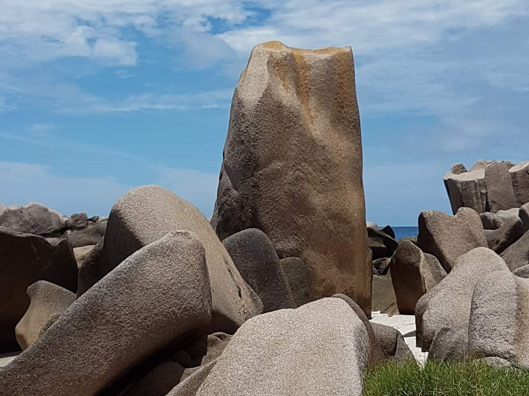 Spiagge di Anse Marron景点图片