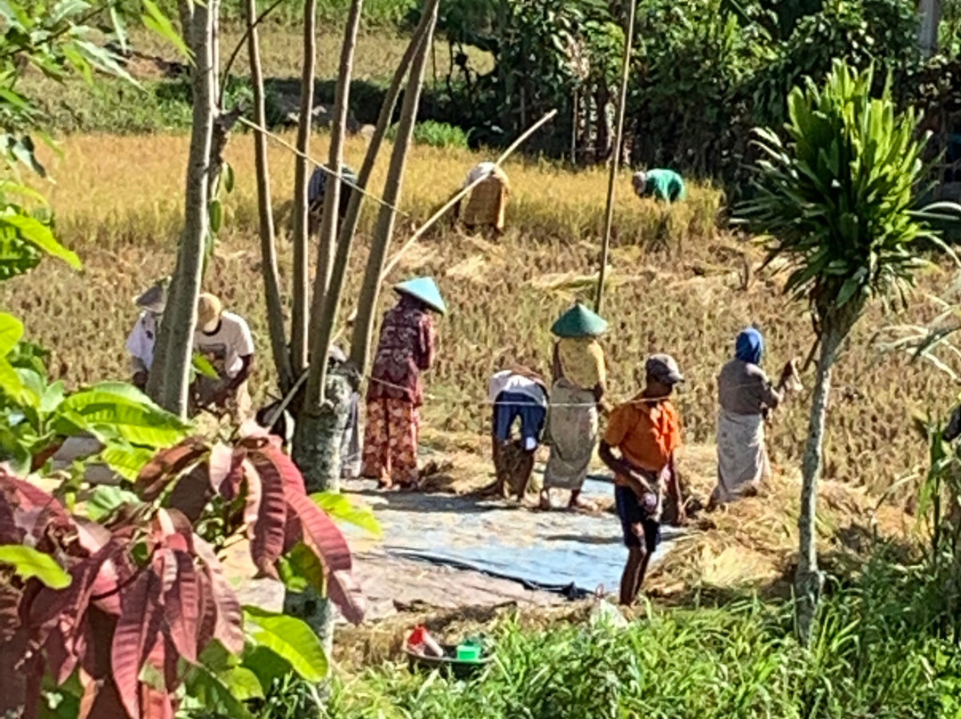 Brigadoon Lombok B&B主图