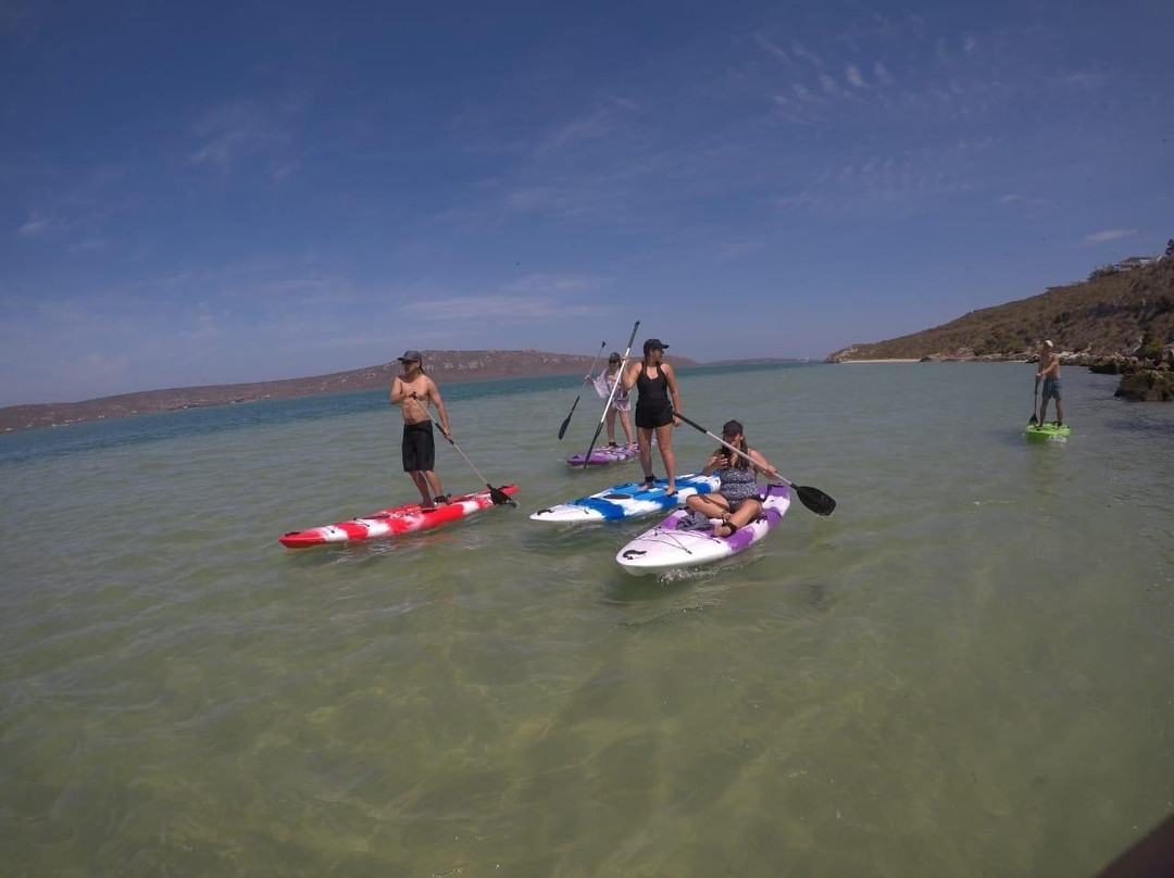 C Kite Langebaan-兰吉班必去景点