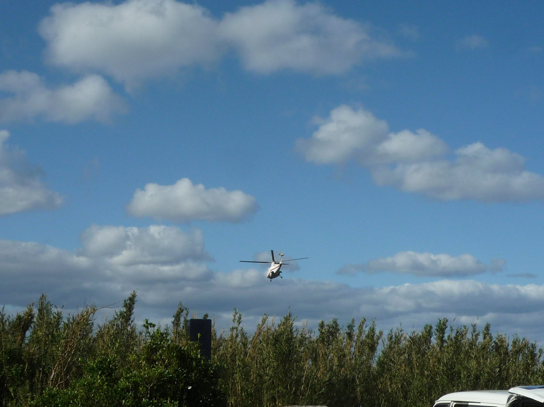 Tokyo Ai-Land Shuttle-青岛必去景点