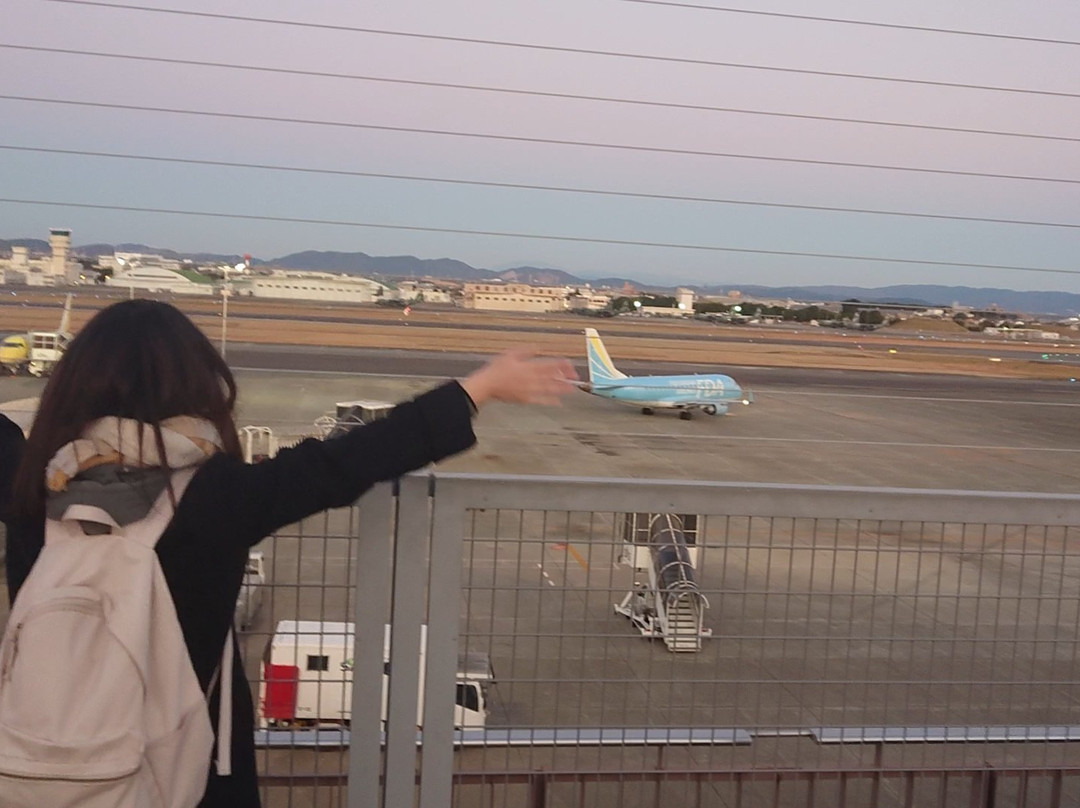 Nagoya Airport Observation Deck-丰山町必去景点