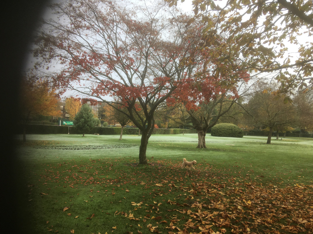 Woking Park景点图片