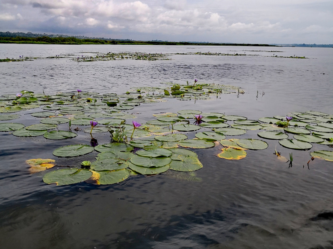 On Holiday Safaris-恩德培必去景点