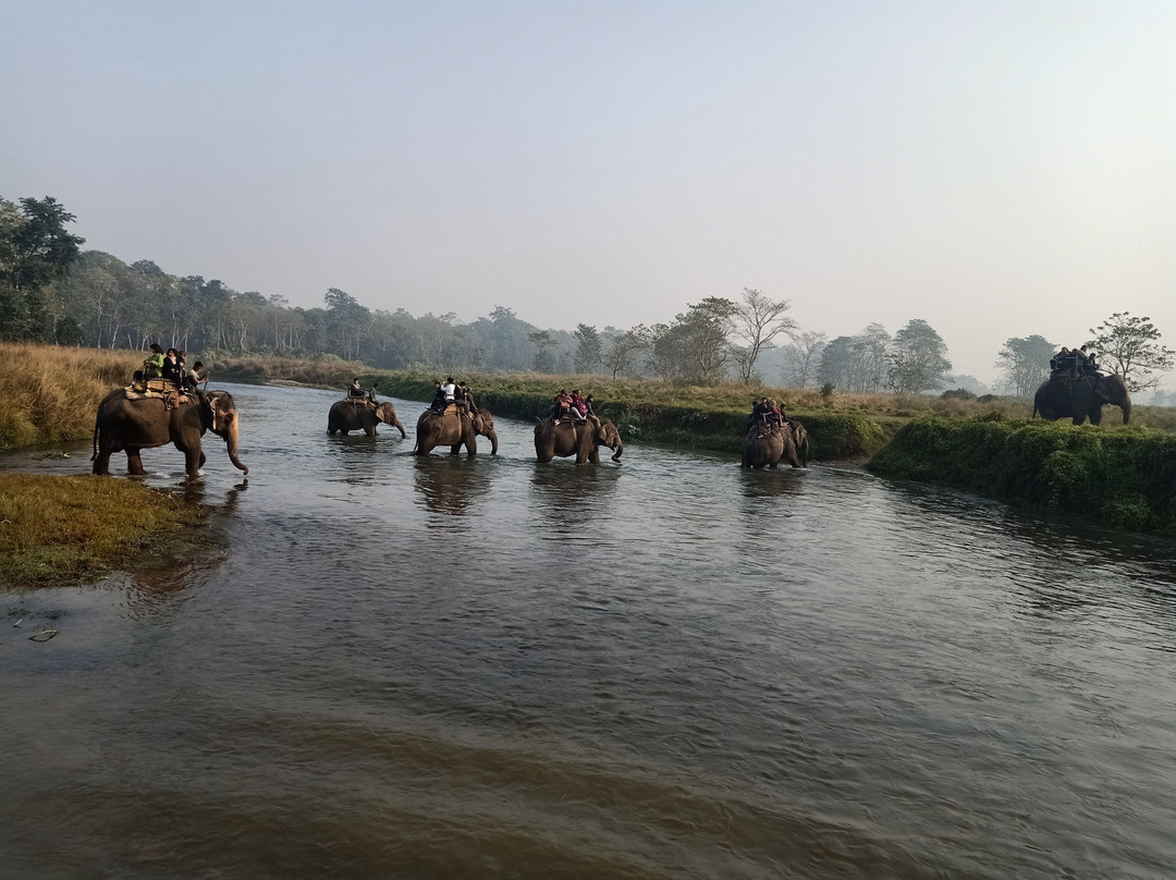 Chitwan Jungle Safari-奇旺国家公国必去景点