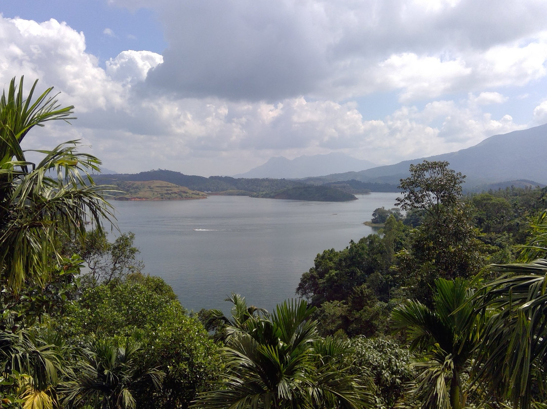 Bonita Banasura主图