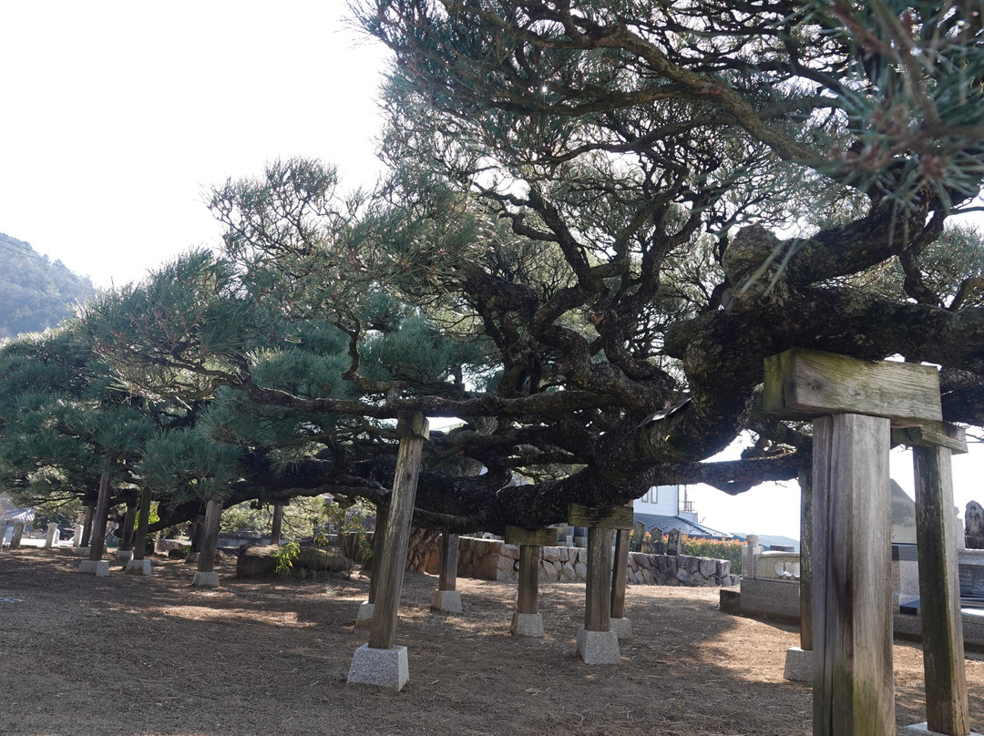 Ryusenji Temple景点图片