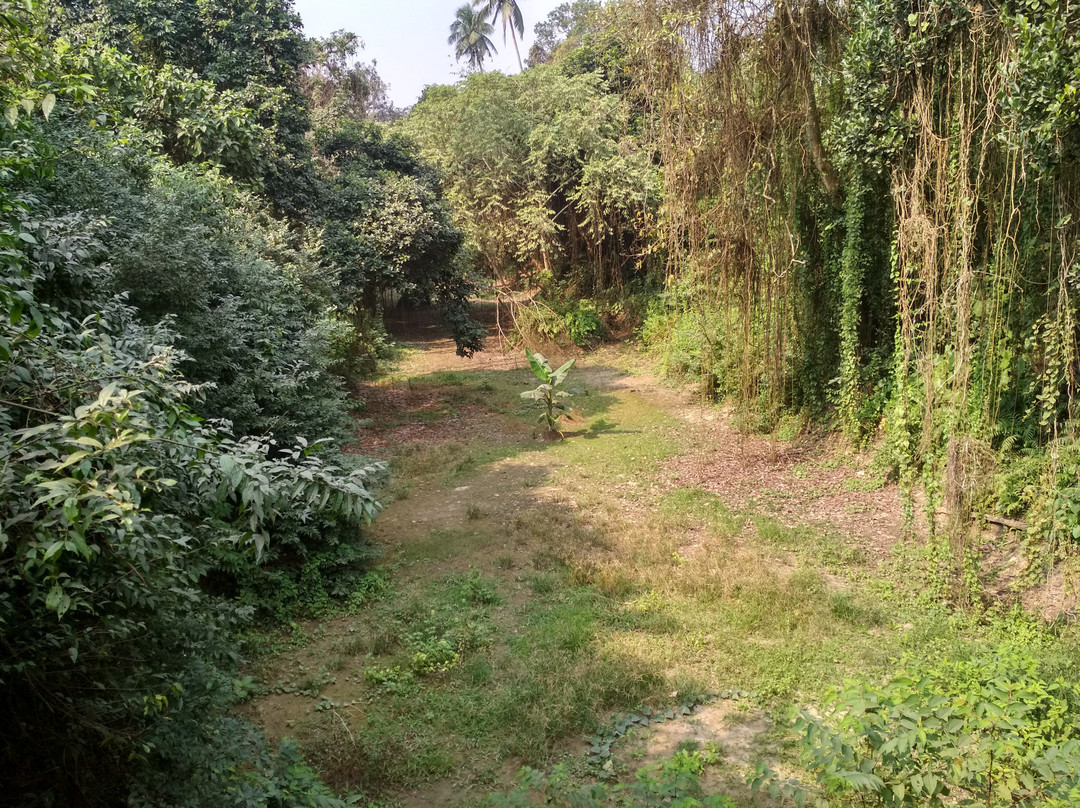 Chintamoni Kar Bird Sanctuary景点图片