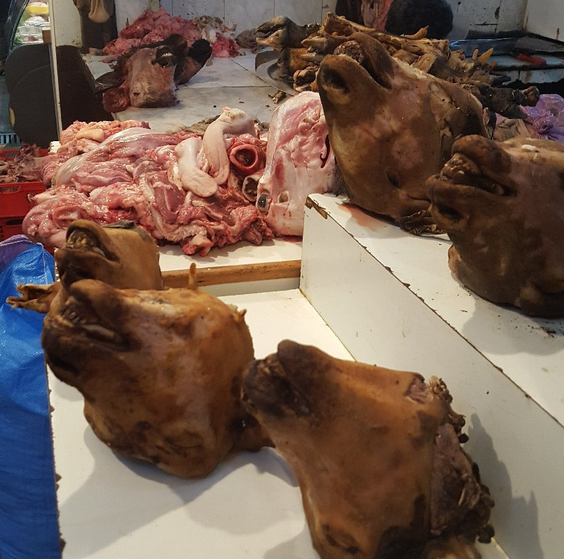 Latif Tours-丹吉尔必去景点