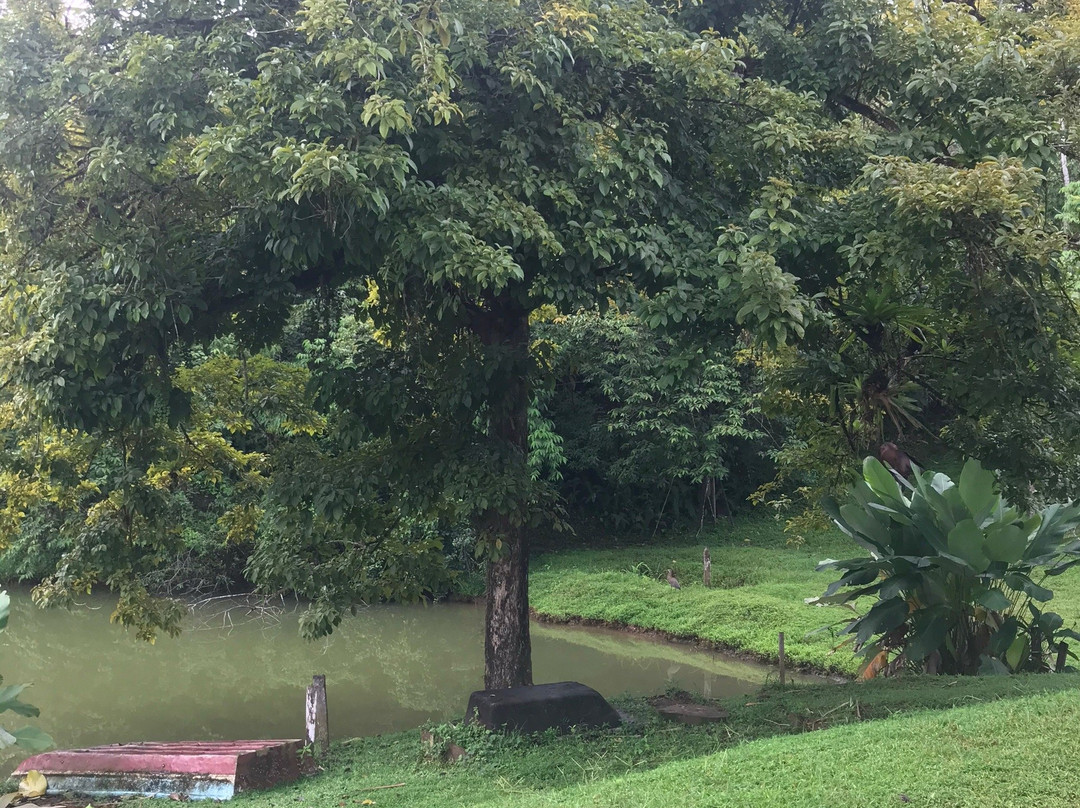 Albergue La Laguna主图