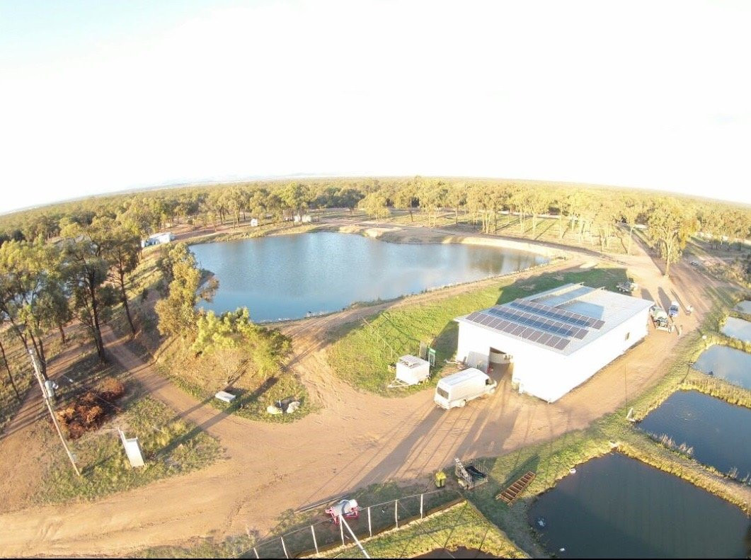 Narrabri Fish Farm景点图片