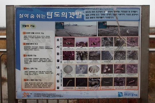 Tando Port-安山市必去景点