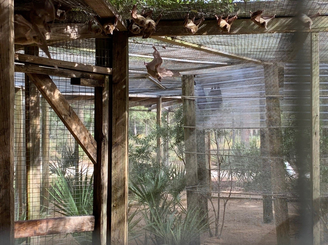 Forest Animal Rescue-Silver Springs必去景点