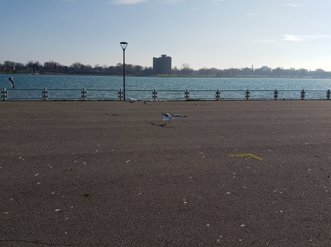 West Riverfront Park景点图片