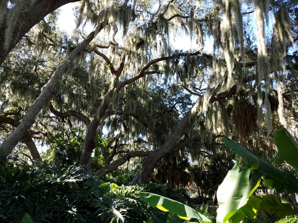 Wooton Park-Tavares必去景点