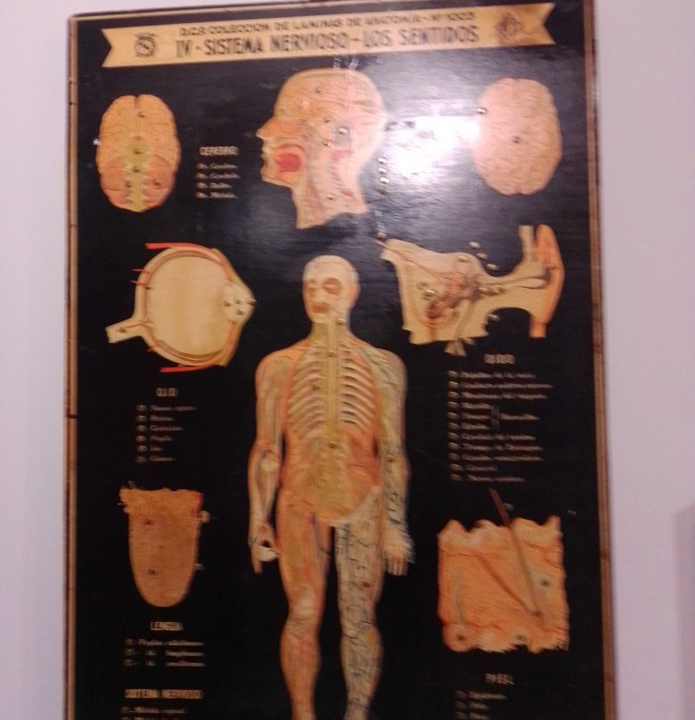Museo Pedagógico de Aragón-韦斯卡省必去景点