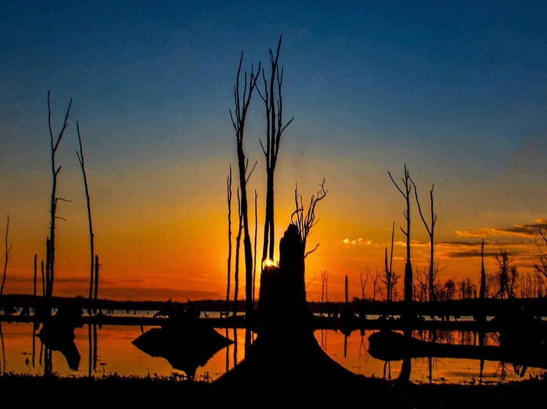 Manasquan Reservoir Visitor Center景点图片